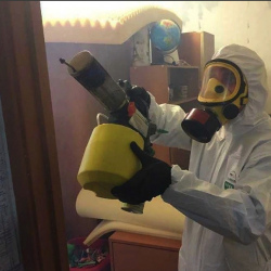 Уничтожение клопов в квартире. Добрынинская